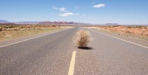 tumbleweed